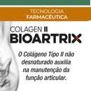 Bioartrix Colágeno Tipo 2 40mg + Hialurônico Bionatus
